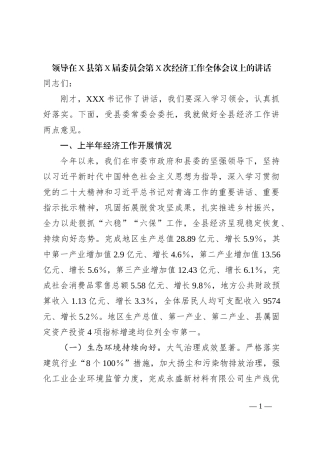 领导在X县第X届委员会第X次经济工作全体会议上的讲话
