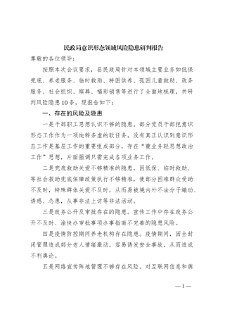 民政局意识形态领域风险隐患研判报告