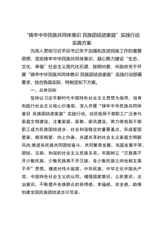 “铸牢中华民族共同体意识 民族团结进家庭”实践行动实施方案