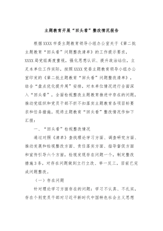 主题教育开展“回头看”整改情况报告