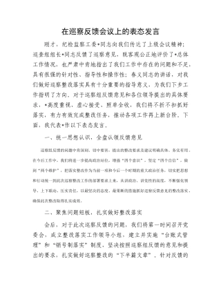在巡察反馈会议上的表态发言(5)