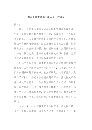 在主题教育领导小组会议上的讲话 (2)