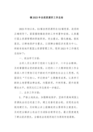 镇2023年自然资源所工作总结