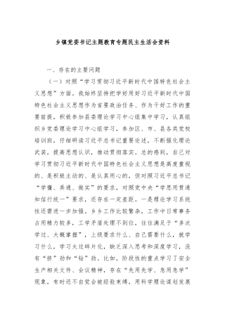 乡镇党委书记主题教育专题民主生活会资料