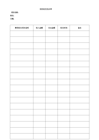 项目收支流水单