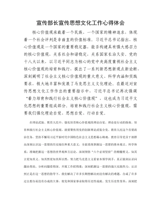 宣传部长宣传思想文化工作心得体会