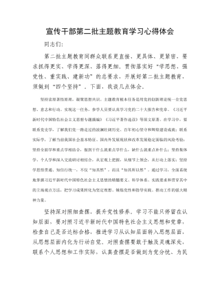 宣传干部第二批主题教育学习心得体会