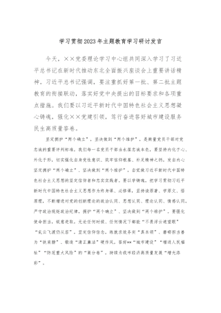 学习贯彻2023年主题教育学习研讨发言