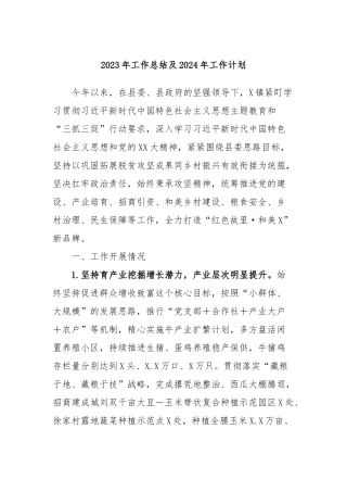 2023年工作总结及2024年工作计划 (3)