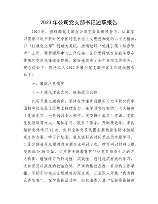 2023年公司党支部书记述职报告