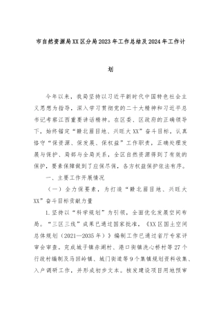 市自然资源局XX区分局2023年工作总结及2024年工作计划