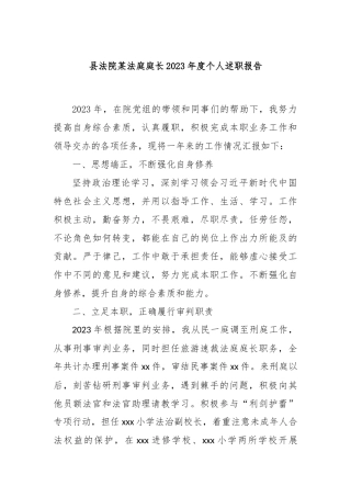 县法院某法庭庭长2023年度个人述职报告