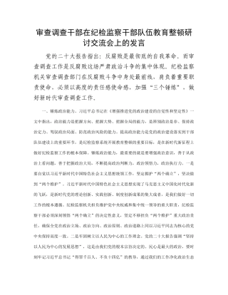 审查调查干部在纪检监察干部队伍教育整顿研讨交流会上的发言(1)