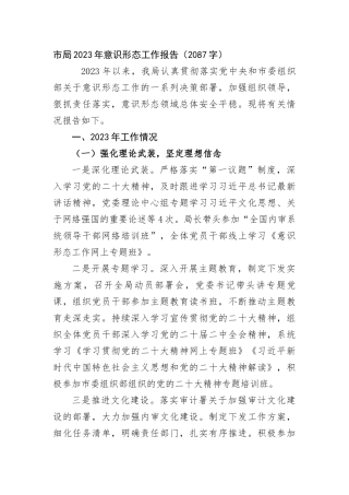 市局2023年ysxt工作报告