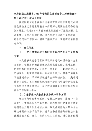 市局副职2023年主题教育民主生活会对照检查材料（践行宗旨等6个方面）(2)