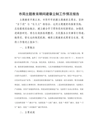 市局主题教育期间建章立制工作情况报告