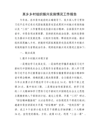 某乡乡村组织振兴实施情况工作报告
