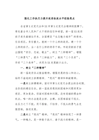 强化工作执行力提升政府执政水平经验亮点