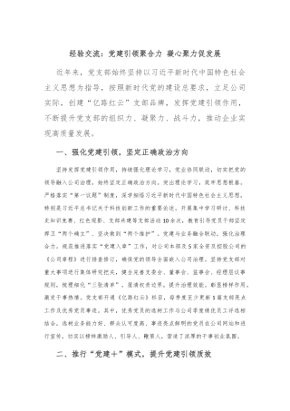 经验交流：党建引领聚合力 凝心聚力促发展