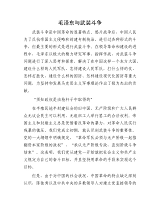 毛泽东与武装斗争(2)