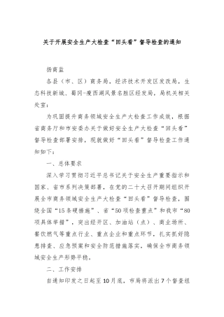 关于开展安全生产大检查“回头看”督导检查的通知