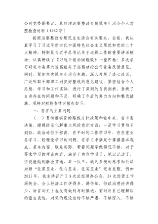 国企党委副书记、总经理巡察整改专题民主生活会个人对照检查材料