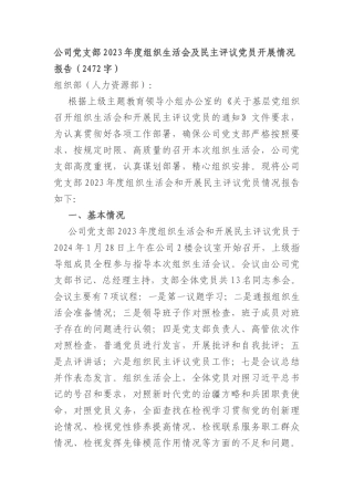 国企党支部2023年度组织生活会及民主评议党员开展情况报告