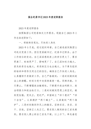 国企纪委书记2023年度述职报告