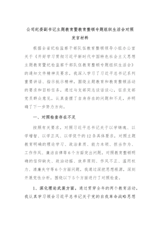 公司纪委副书记主题教育暨教育整顿专题组织生活会对照发言材料(1)