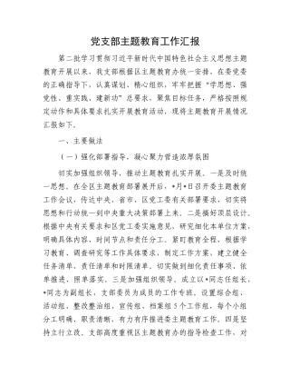 党支部主题教育工作汇报