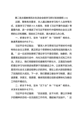 第二批主题教育民主生活会会前学习研讨发言提纲 (14)