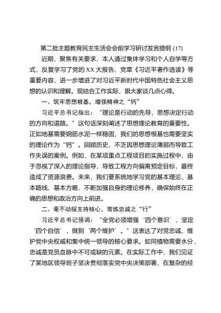 第二批主题教育民主生活会会前学习研讨发言提纲 (17)