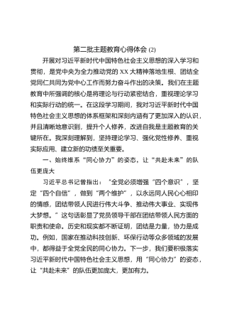 第二批主题教育心得体会 (2)【优】