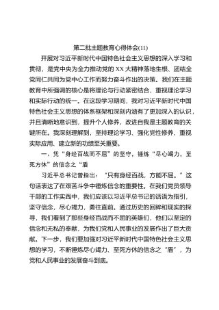 第二批主题教育心得体会 (11)【优】