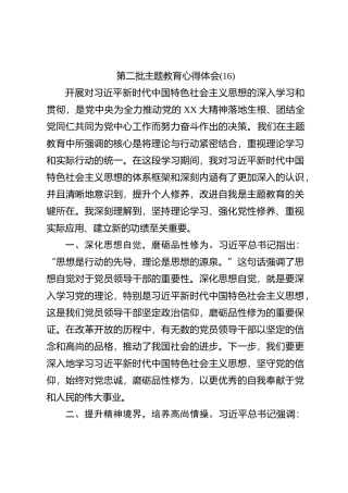 第二批主题教育心得体会 (16)【优】