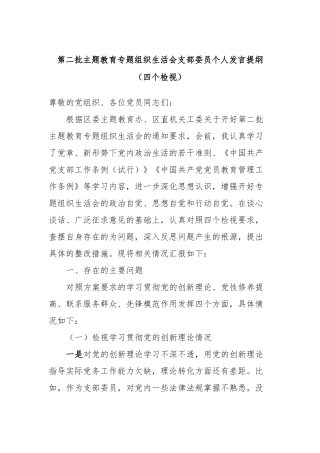 第二批主题教育专题组织生活会支部委员个人发言提纲（四个检视）