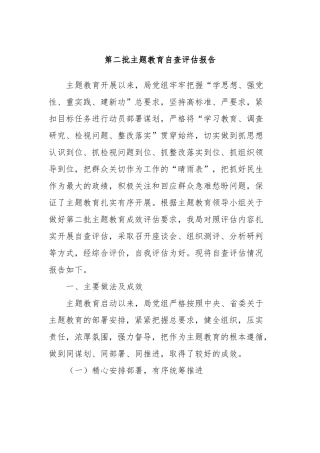 第二批主题教育自查评估报告
