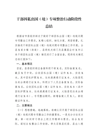 干部因私出国（境）专项整治行动阶段性总结