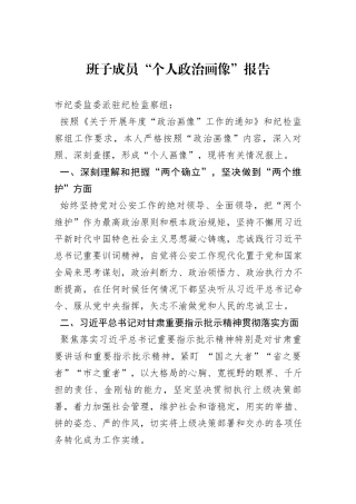 班子成员“个人政治画像”报告