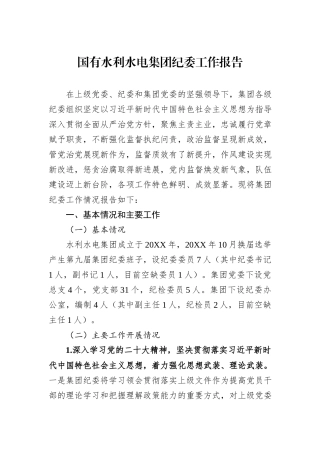 国有水利水电集团纪委工作报告