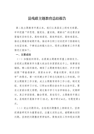 县残联主题教育总结报告