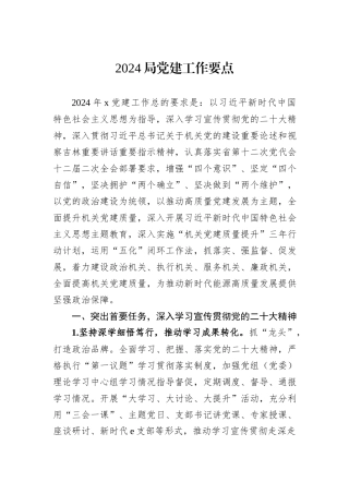 2024局党建工作要点