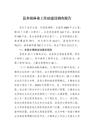 县乡镇林业工作站建设调查报告