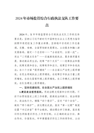 2024年市场监管综合行政执法支队工作要点