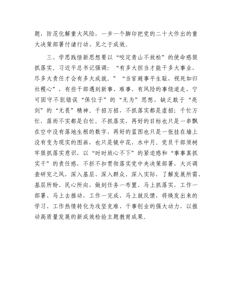 2023年理论学习交流发言：学思践悟勇担当 砥砺奋进新征程_第3页