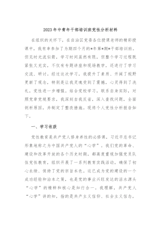 2023年中青年干部培训班党性分析材料