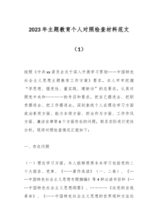 2023年主题教育个人对照检查材料 范文（1）