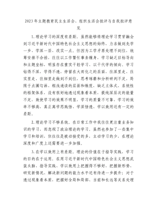 2023年主题教育生活会批评与自我批评意见20条 (2)