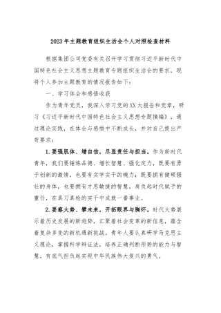 2023年主题教育组织生活会个人对照检查材料 (6)