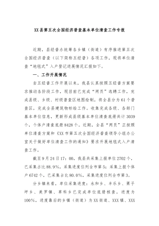 XX县第五次全国经济普查基本单位清查工作专报
